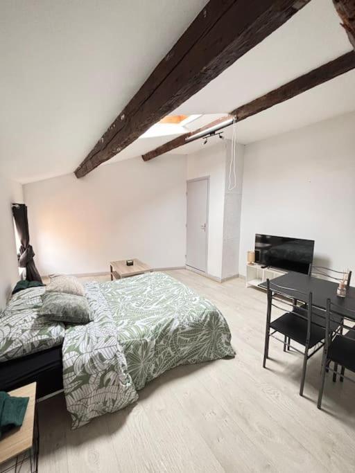 Studio Confortable Annonay Buitenkant foto
