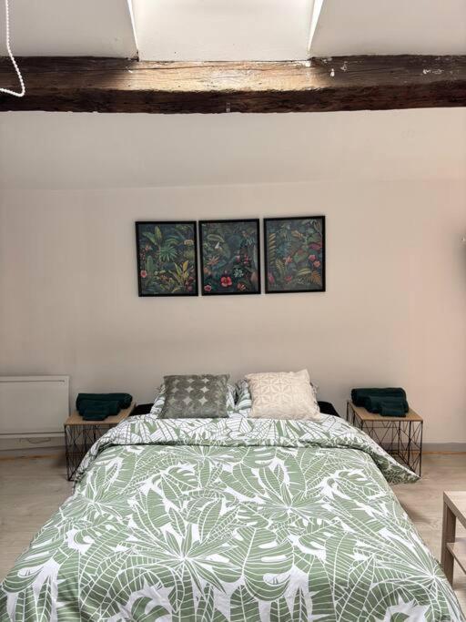 Studio Confortable Annonay Buitenkant foto